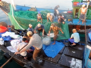 Thành lập Nghiệp đoàn nghề cá đầu tiên tại Quảng Nam